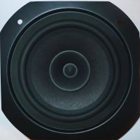 Visaton FRWS13 hifi fullrange luidspreker 5" 8 ohm 40W