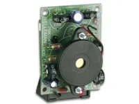 MK104 Electronic cricket